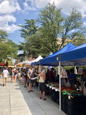 Very small market, but cute. About a dozen vendors give or take (view here is from the middle of the market looking towards the entrance).