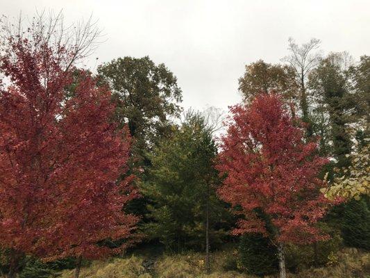 Fall colors in the Blue Ridge Mountains