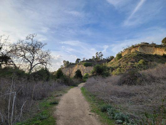 Sycamore Canyon Trail