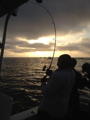 Galveston fishing charters