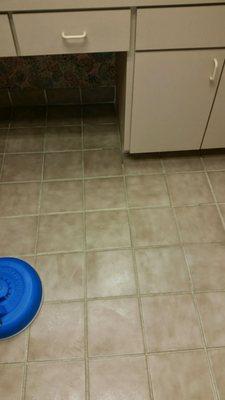 Tile & Grout cleaning of a customer's home.