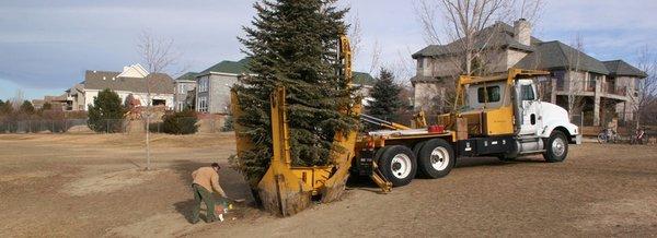 One of our 90" tree spades. Are able to move trees up to 14" caliper with our 100" tree spade.