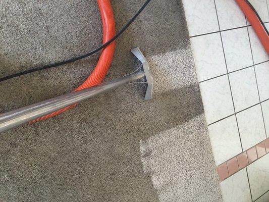 Steam carpet cleaning