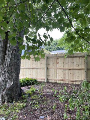 Beautiful fence against foliage blending seamlessly into the background with nature style