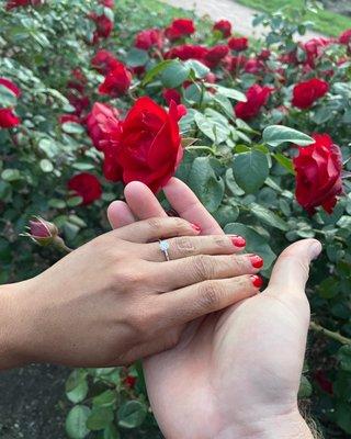 She said, Yes!