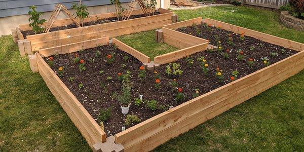 Garden bed - custom to you!