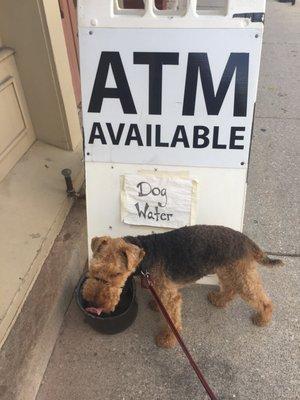 ATM and dog water!