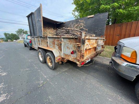 tree removal trailer loaded with wood ships