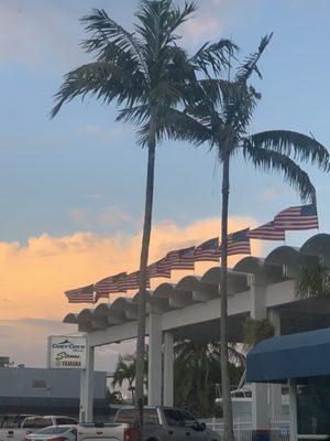 Cozy Cove Marina