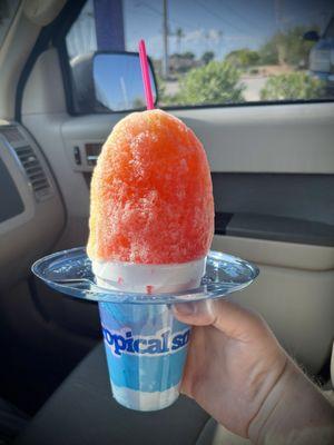 Tropical Sno