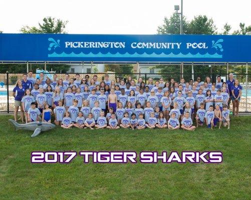 2017 Tiger Sharks