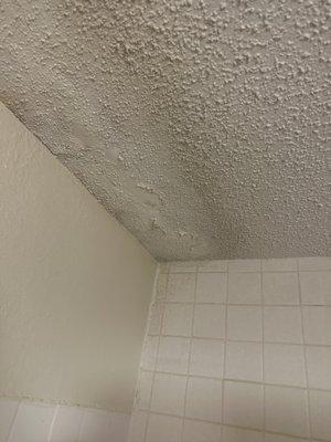 Drywall falling down while I was in shower