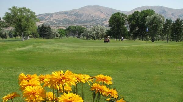 View from the clubhouse