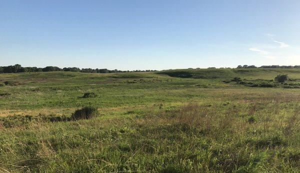 Some beautiful shots taken at Fen.