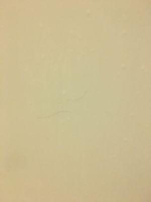 Hairs in the shower from the previous guest (there were so many)