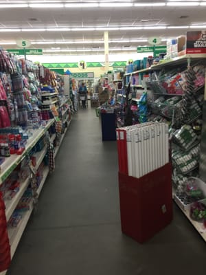 Wilmington Dollar Tree -- Wilmington Crossing : 231 Main Street / Routes 129 & 38, Wilmington            Interior