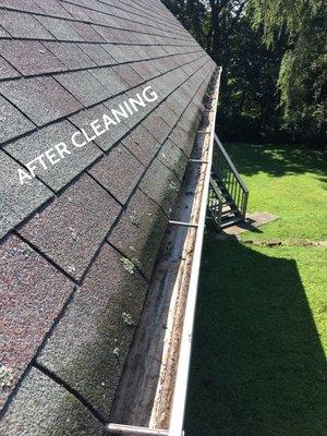 After Gutter Cleaning