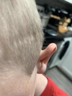 Long uneven hairs and poor fade