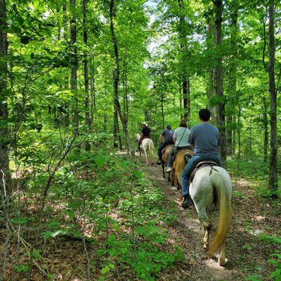 Lots of shady parts on the trail ride.