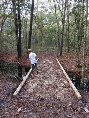 One of two tiny boardwalks