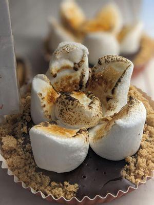 S'mores! Looked amazing