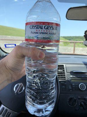 Great for road trips. 1.5 liter chilled bottled water for under a dollar.