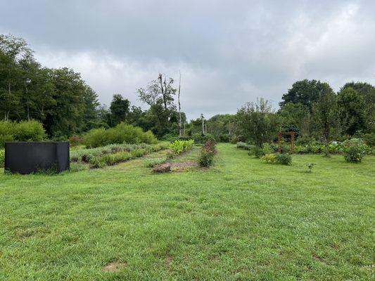 Herb garden