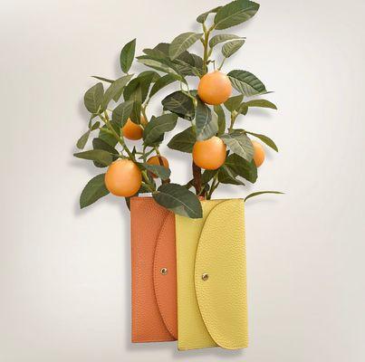 Citrus Styles