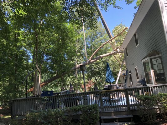 The tricky part of removing this huge tree resting on the roof but still partially attached to the trunk.