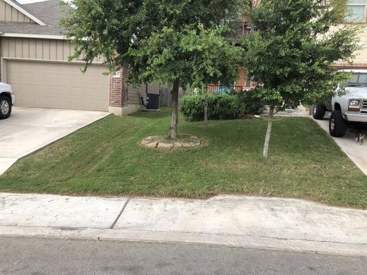 Neighbors both cut by JW LAWN CARE