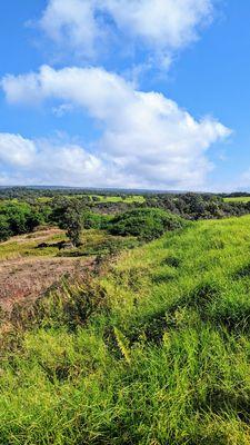 Pu'u o Lokuana Trail | Instagram: @telephonesmoothie