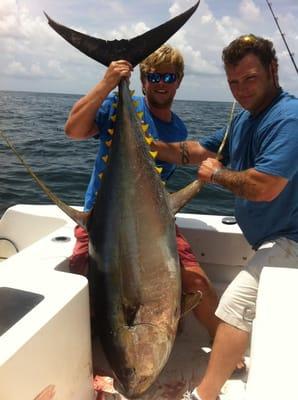 Monster YellowFin Tuna