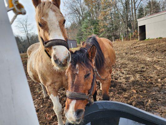 RiverView Farm