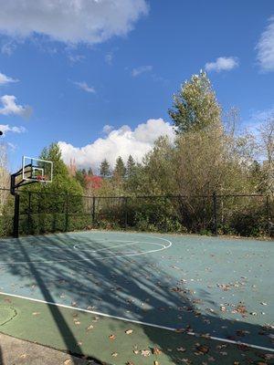 Basketball court