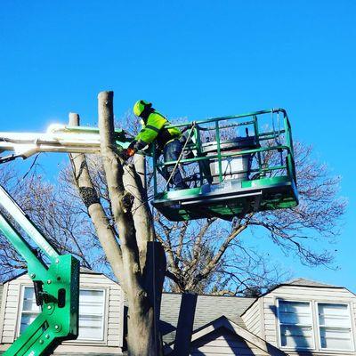 Power lines plus tree next to a house. Not a problem for the Monster Tree Service crew.