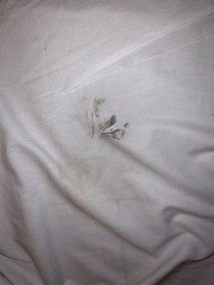 Another stain on the fitted sheet