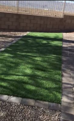 Turf backyard project