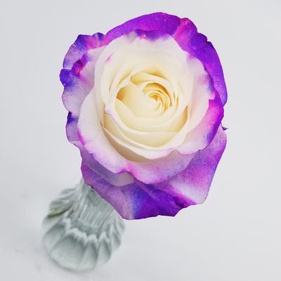 www.sadorrafloraldesigns.com