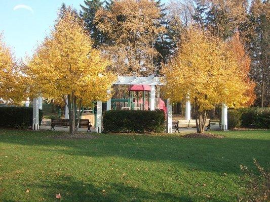 Pergola seating area