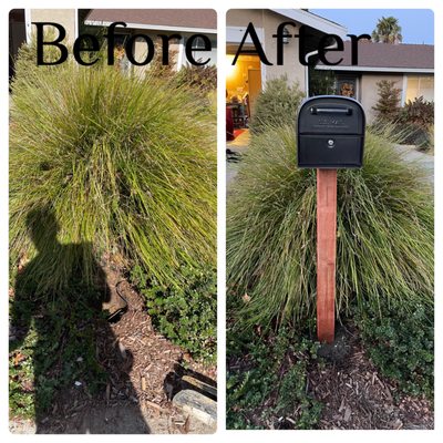 Mailbox and post replacement.