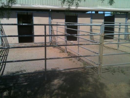 View of outside runs and interior stalls from the outside