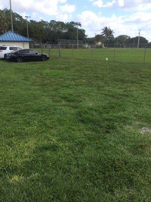 Soccer field (team half time)