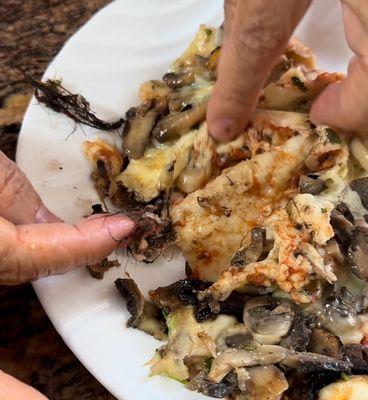 GROSS! Human hair on mushroom slice.