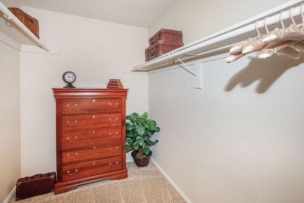 Spacious master walk-in closet