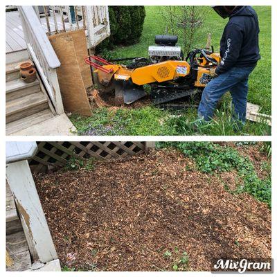 Mad-Dust Stump Grinding