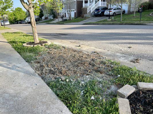 this is damage to a totally different & unrelated part of our FRONT yard that we could NOT have "expected" in the normal course of business