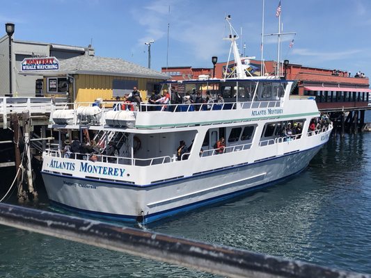 Princess Monterey Whale Watching