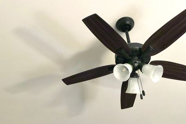 Ceiling fan