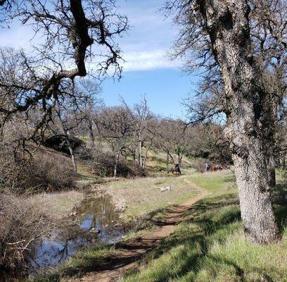 Equestrians on the Yana Trail