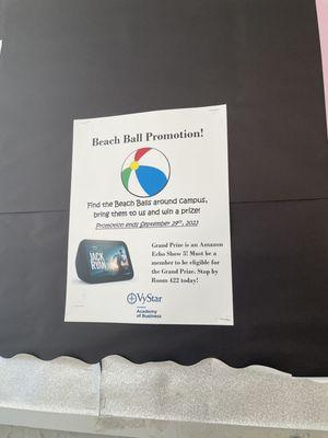 The VyStar miniature beach ball poster